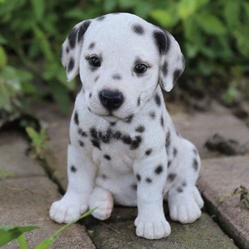 Dalmatian